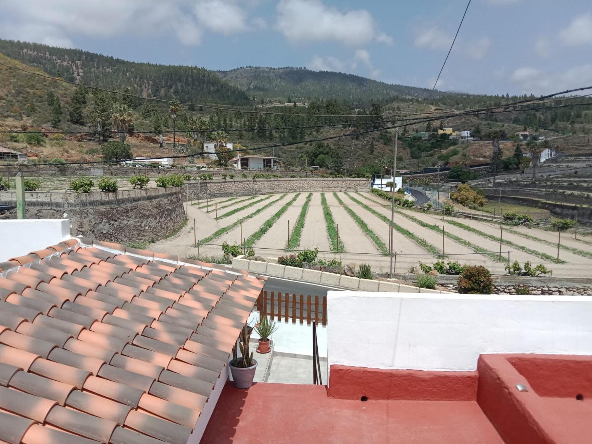Casa El Escano Granadilla De Abona Buitenkant foto